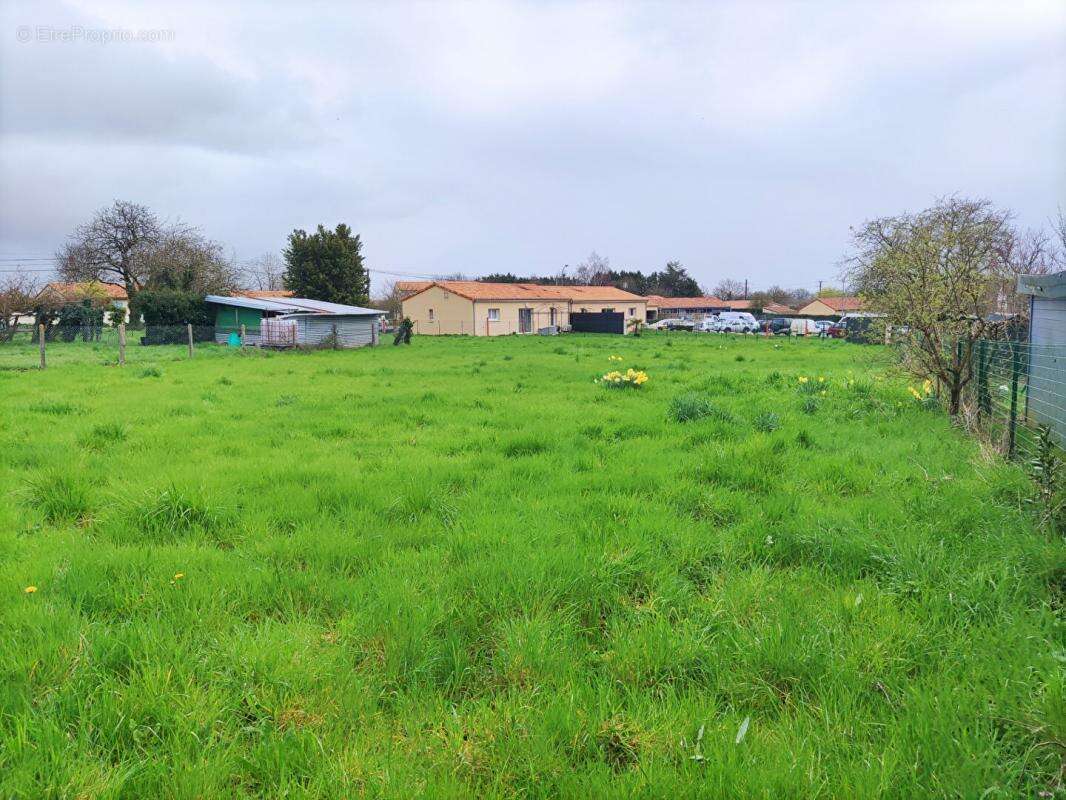 Terrain à CHAMPAGNE-SAINT-HILAIRE
