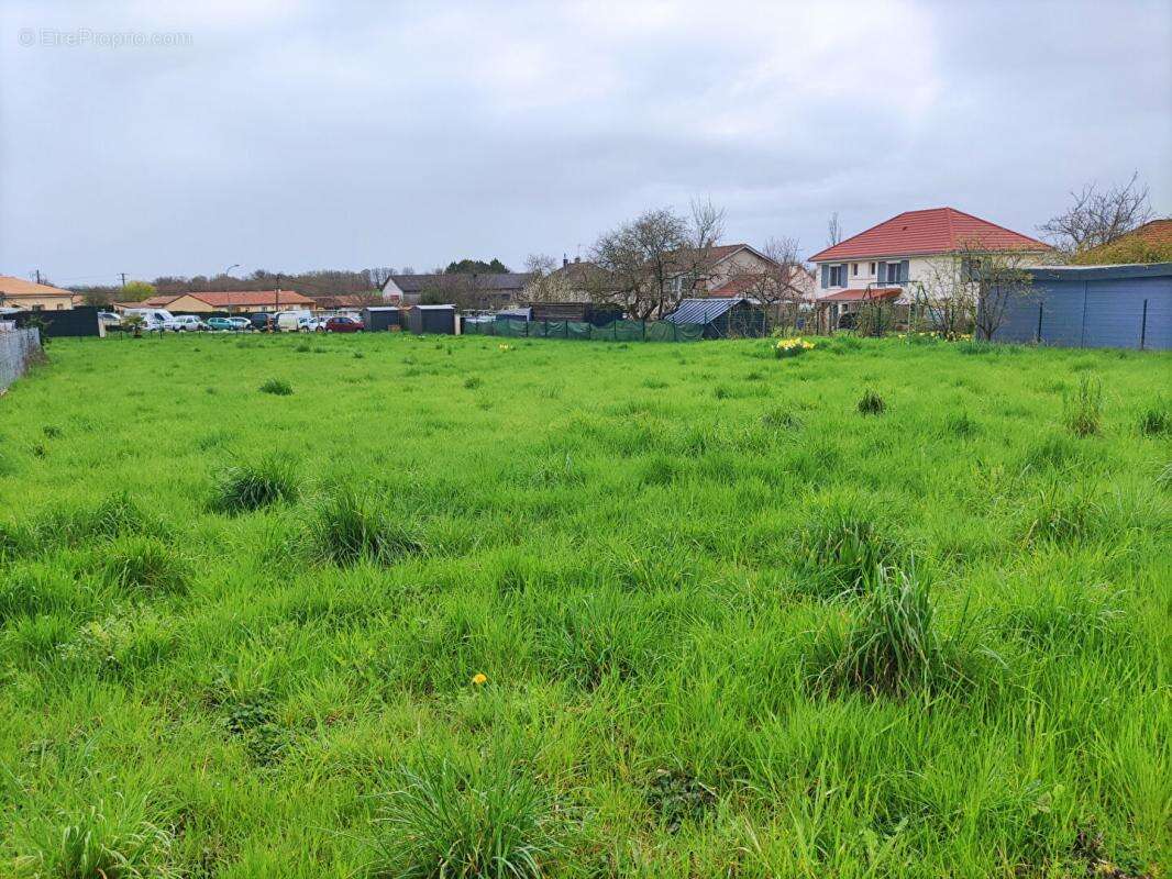 Terrain à CHAMPAGNE-SAINT-HILAIRE