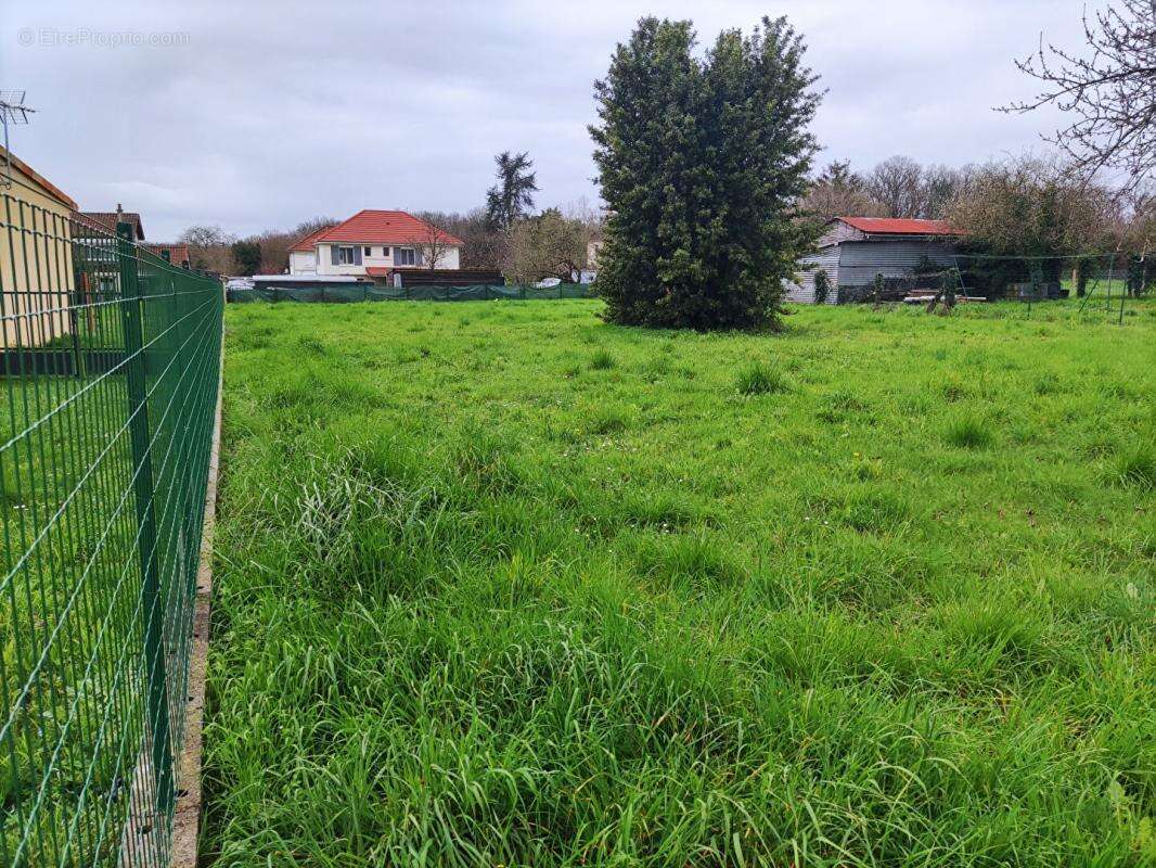 Terrain à CHAMPAGNE-SAINT-HILAIRE