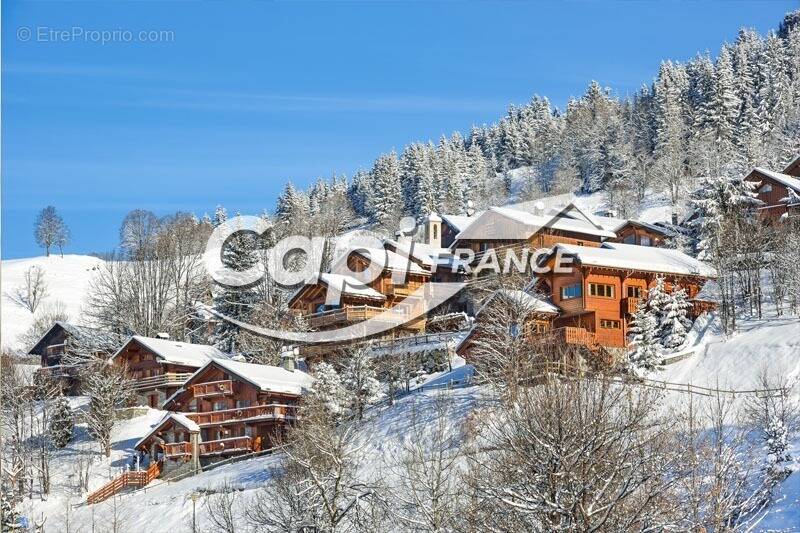 Commerce à LES AVANCHERS-VALMOREL