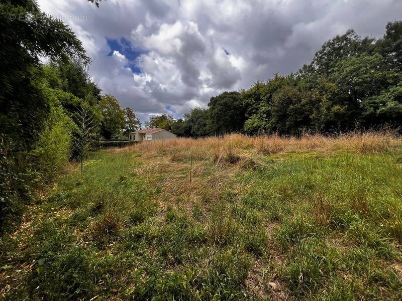 Terrain à GENOUILLE