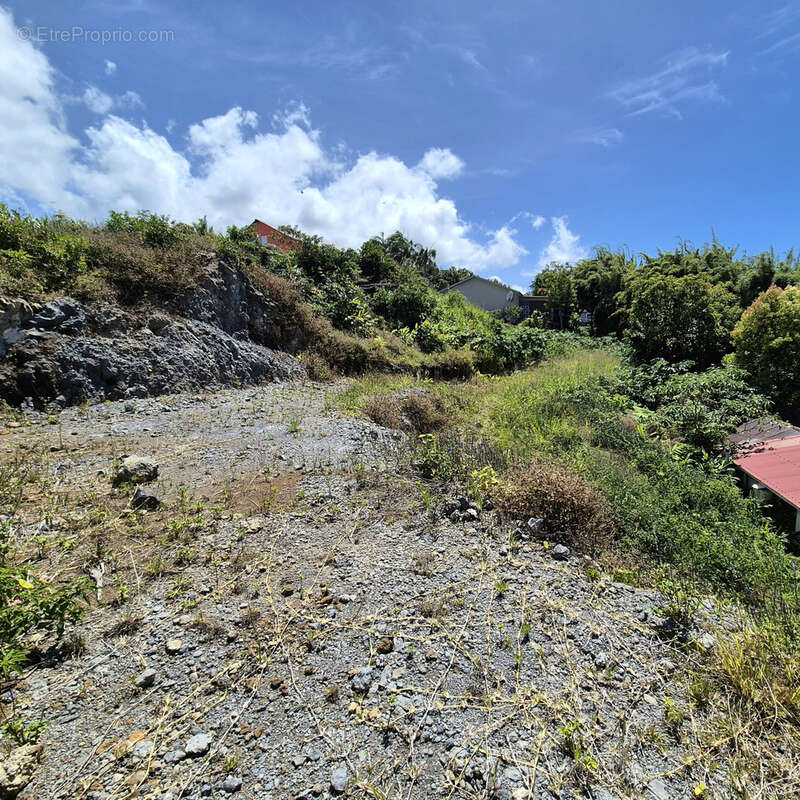 Terrain à SAINT-JOSEPH