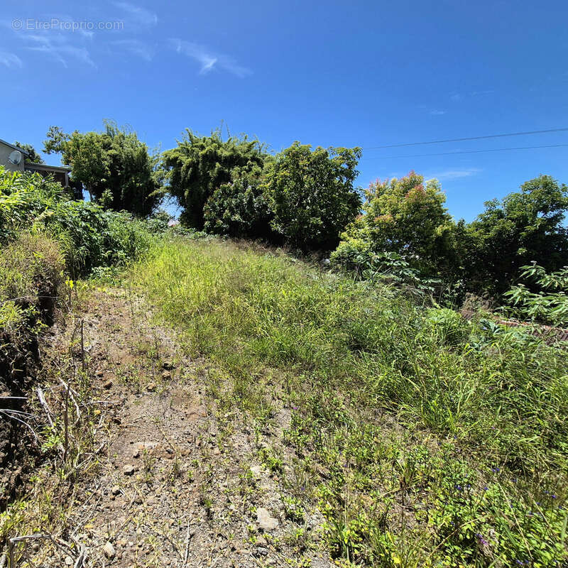 Terrain à SAINT-JOSEPH