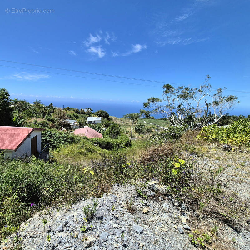 Terrain à SAINT-JOSEPH