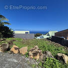 Terrain à SAINT-JOSEPH