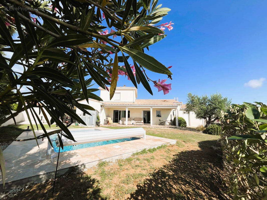 Maison à MESCHERS-SUR-GIRONDE