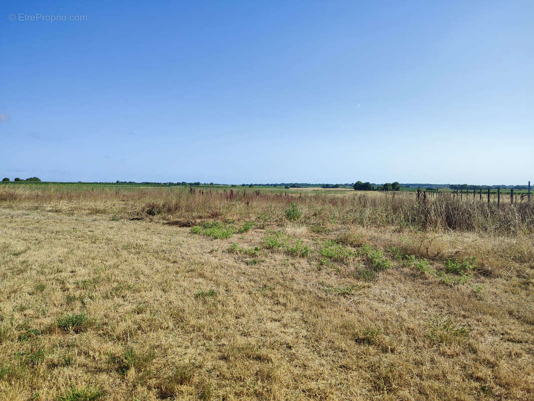 Maison à GENSAC-LA-PALLUE