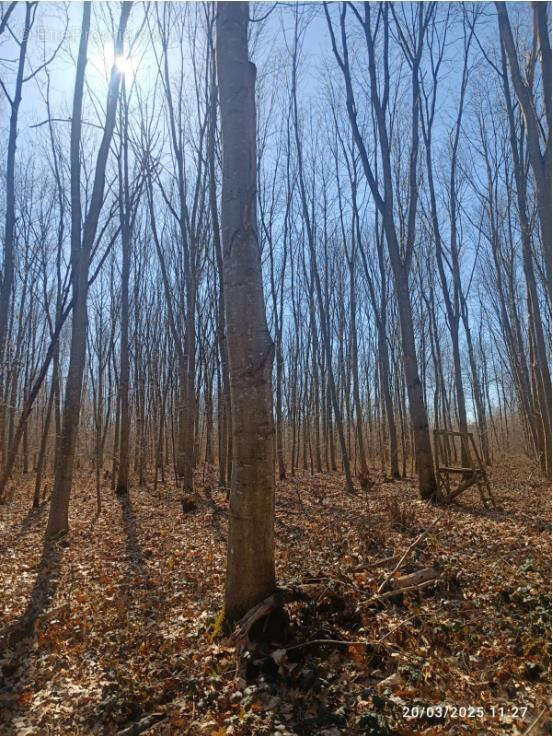 Terrain à PRESLES-EN-BRIE