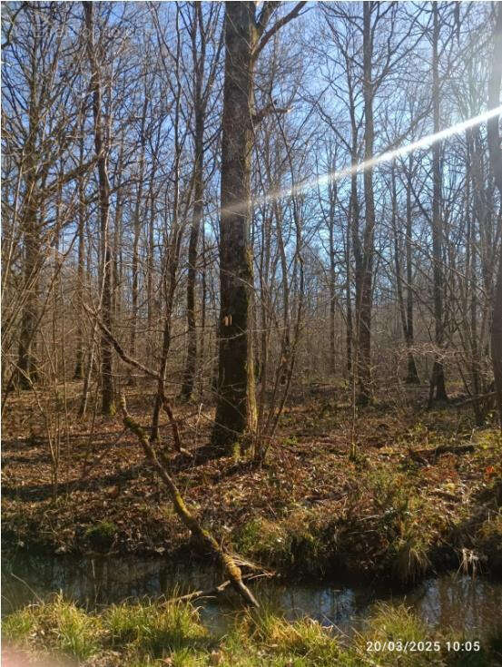 Terrain à PRESLES-EN-BRIE