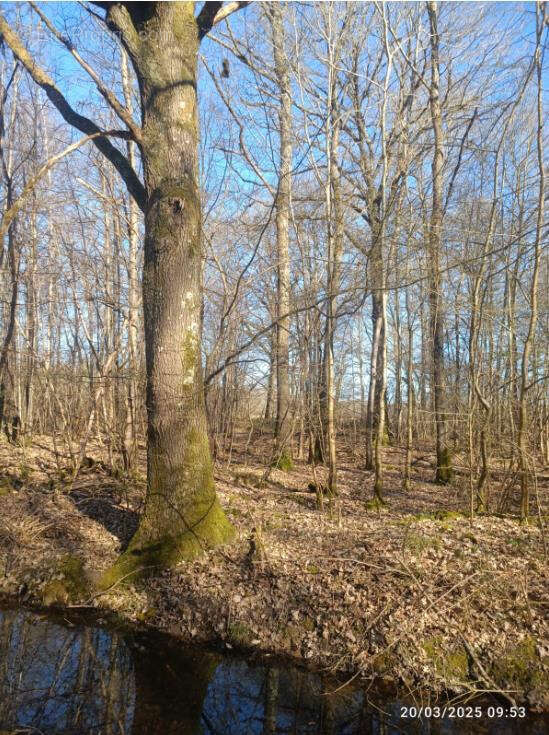 Terrain à PRESLES-EN-BRIE