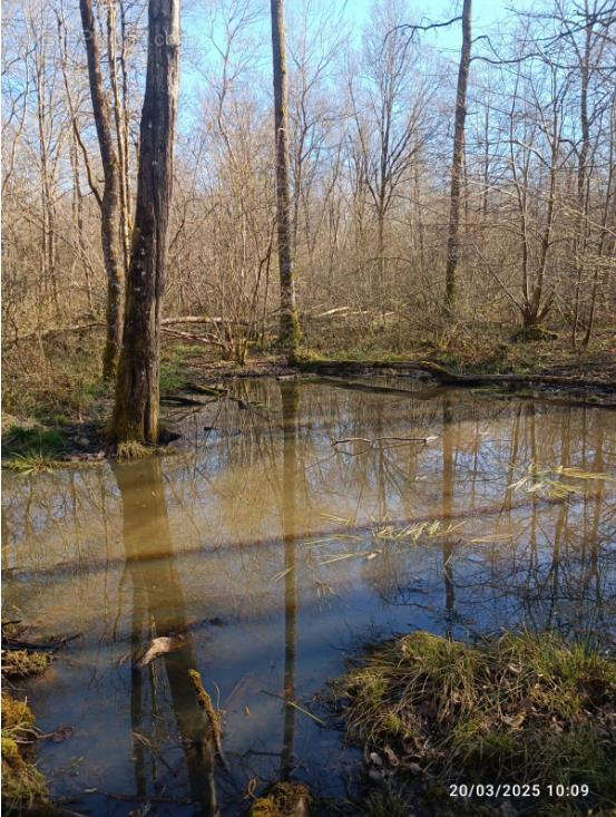 Terrain à PRESLES-EN-BRIE