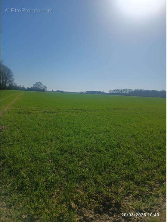 Terrain à PRESLES-EN-BRIE