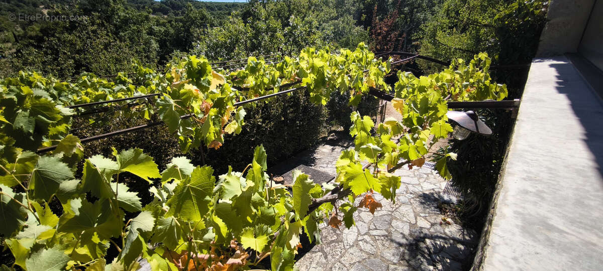 Maison à LA ROCHE-SUR-GRANE