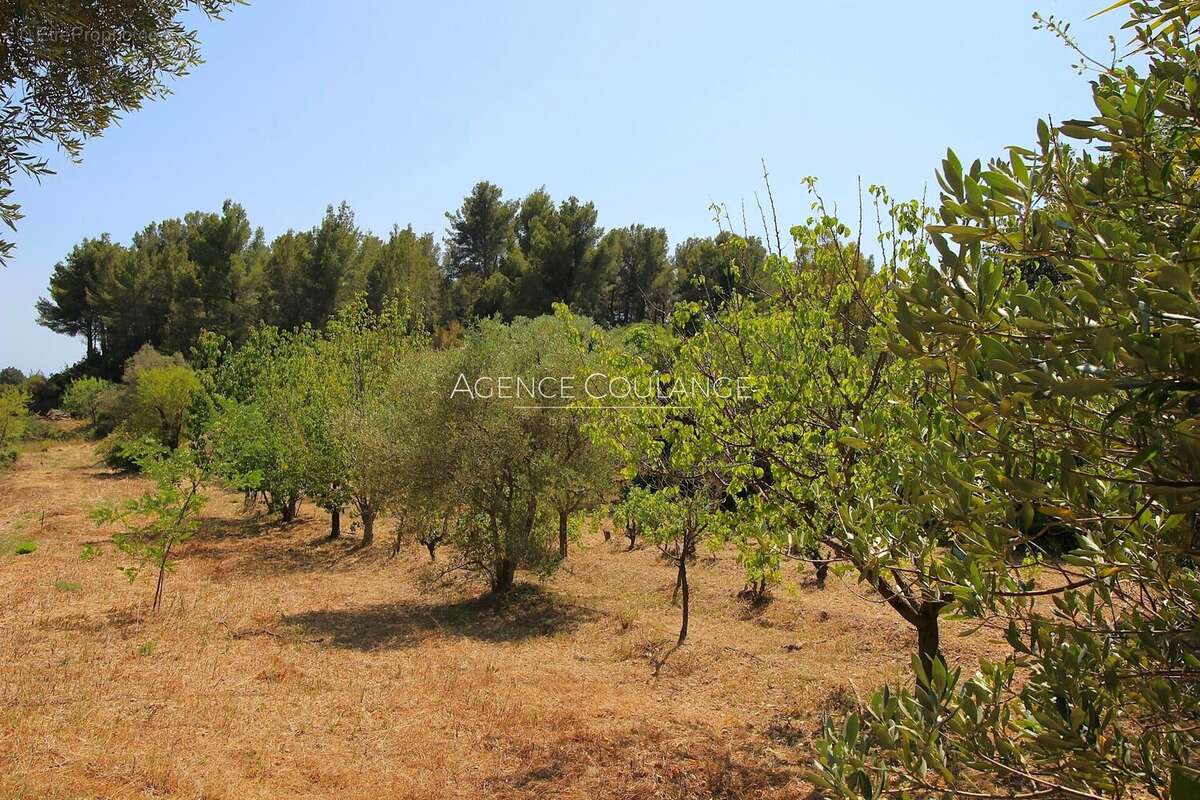 Maison à LA CADIERE-D&#039;AZUR