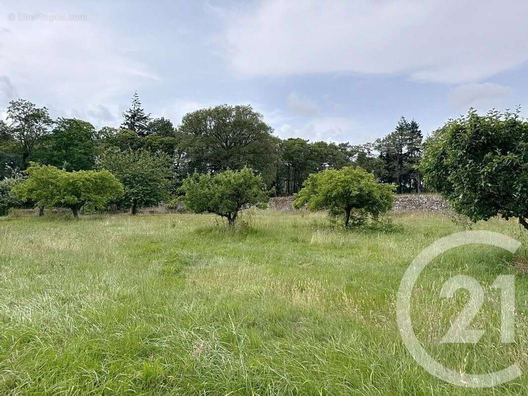 Maison à SAINT-JEAN-LA-POTERIE