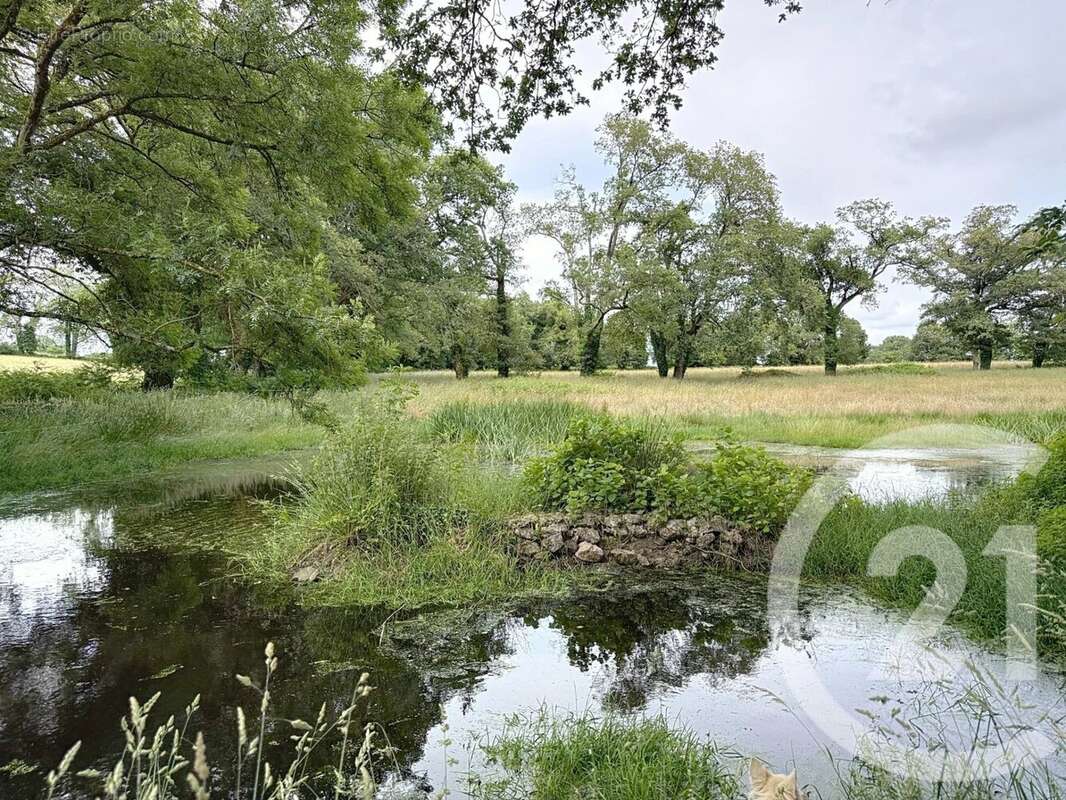 Maison à SAINT-JEAN-LA-POTERIE