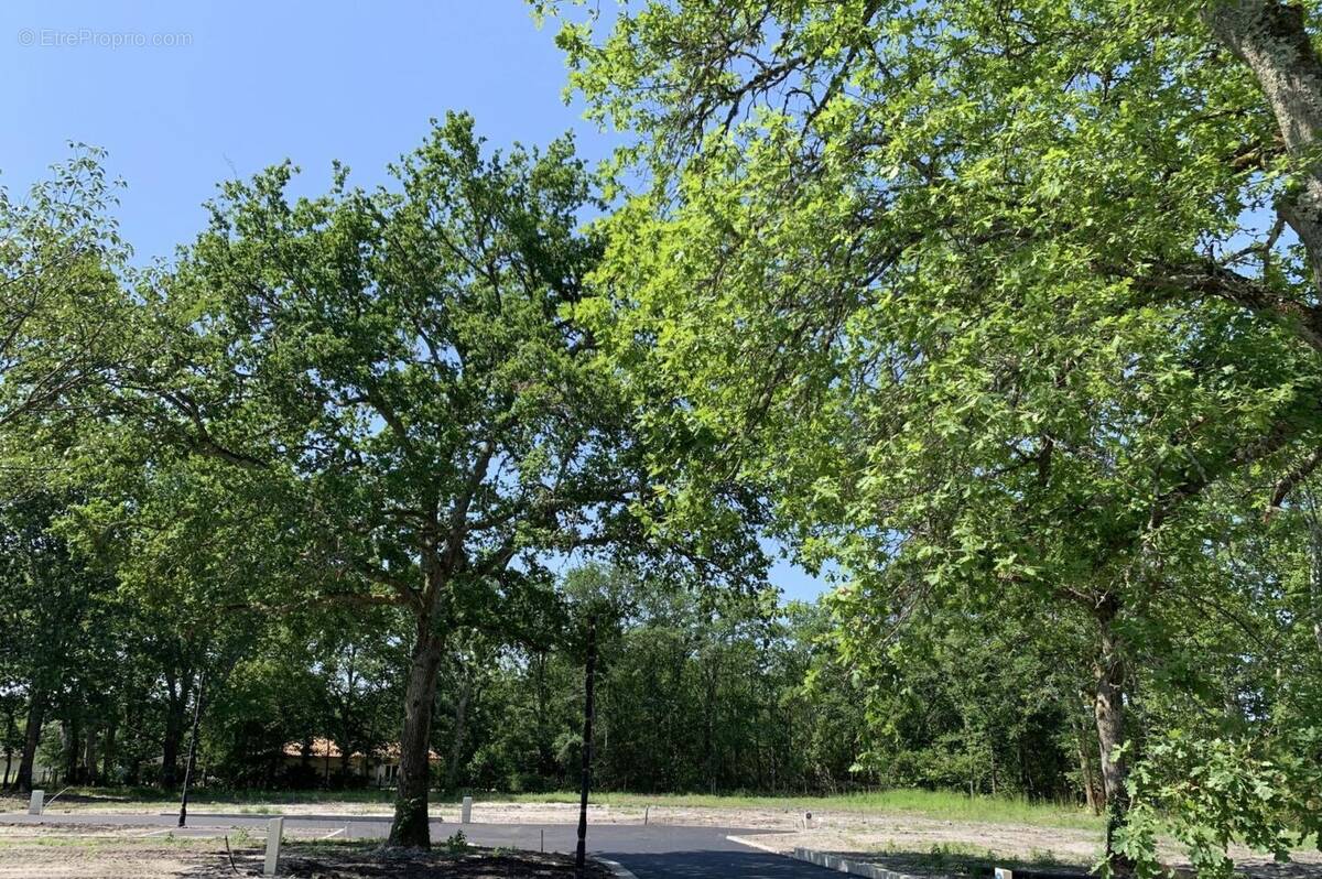 Terrain à SAINT-AUBIN-DE-MEDOC