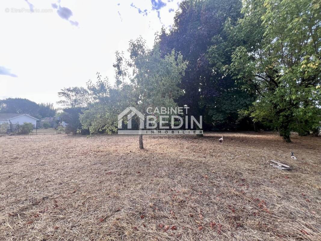 Terrain à VAYRES