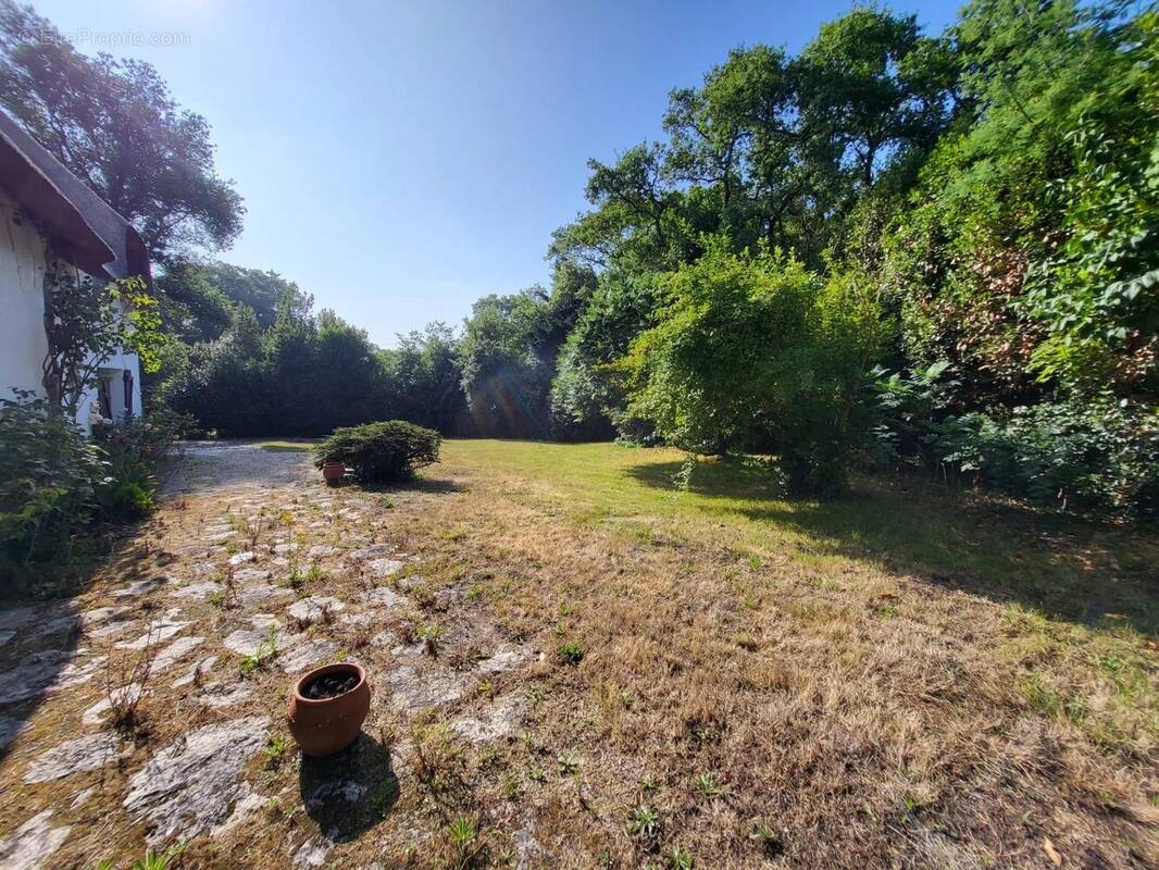 Maison à SAINT-MOLF