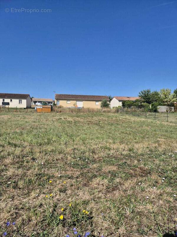 Terrain à VERTEUIL-SUR-CHARENTE