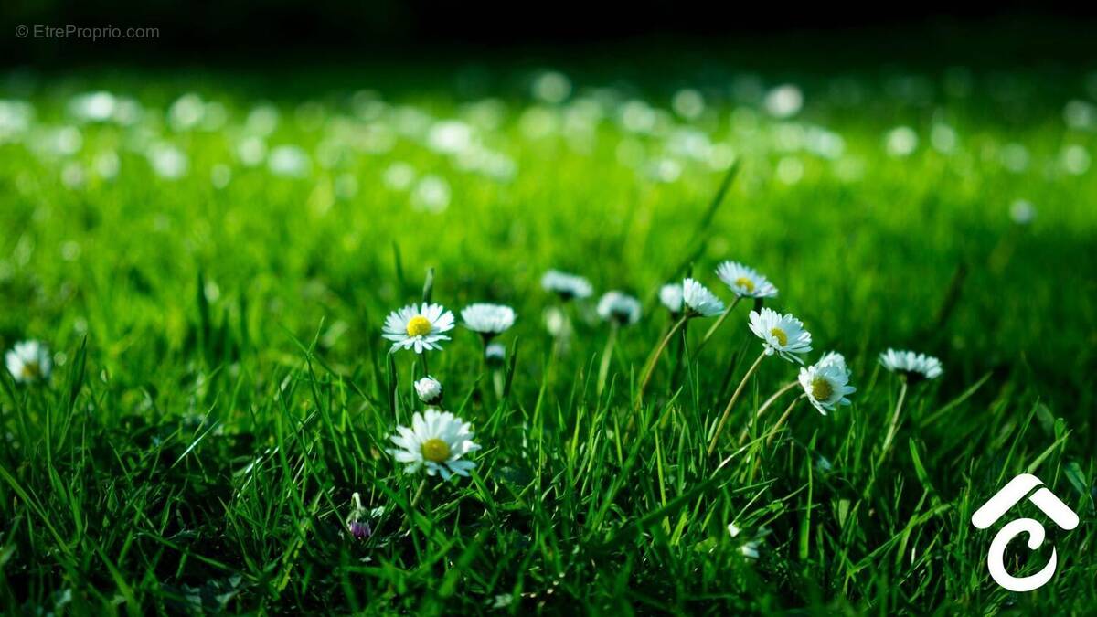 Terrain à SAINT-LYE-LA-FORET