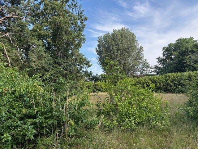 Terrain à SAINT-DENIS-EN-VAL