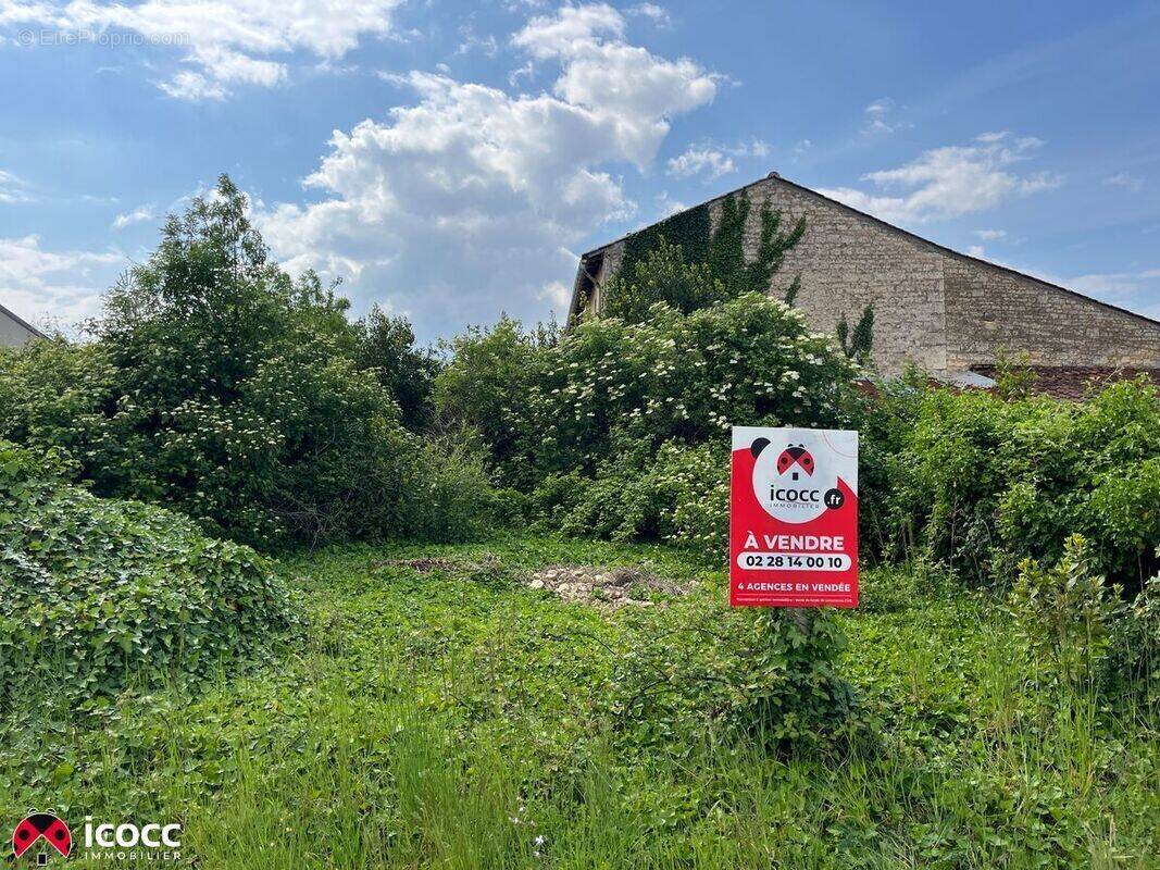 Terrain à LES MAGNILS-REIGNIERS