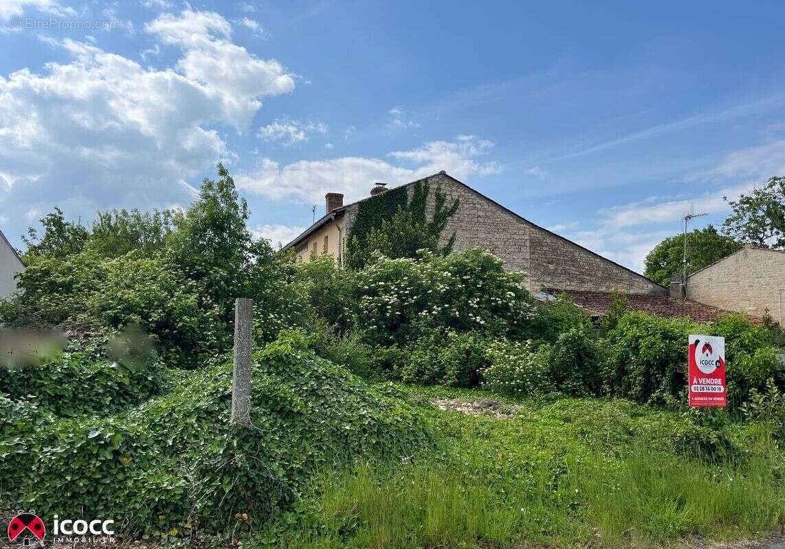 Terrain à LES MAGNILS-REIGNIERS