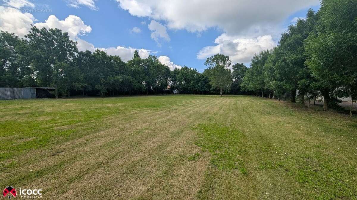 Terrain à MAREUIL-SUR-LAY-DISSAIS