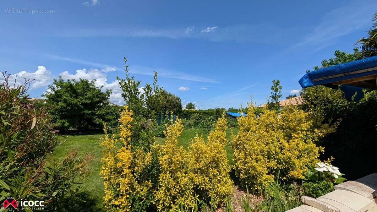 Maison à CHATEAU-GUIBERT