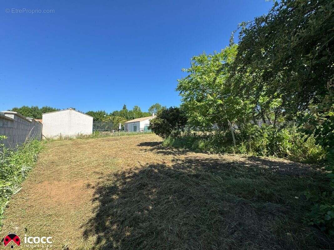 Terrain à MAREUIL-SUR-LAY-DISSAIS