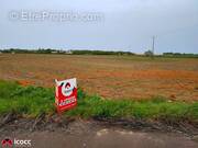 Terrain à CHASNAIS