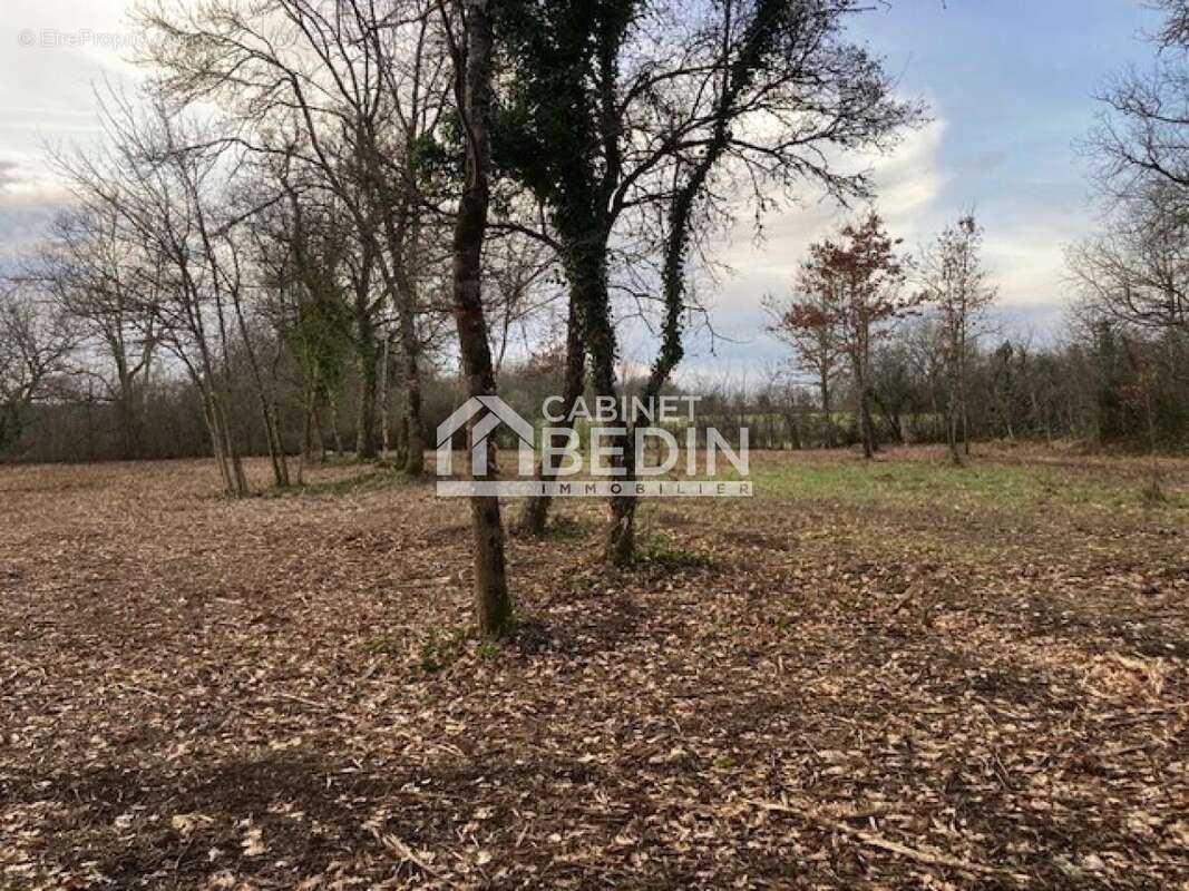 Terrain à TIZAC-DE-CURTON