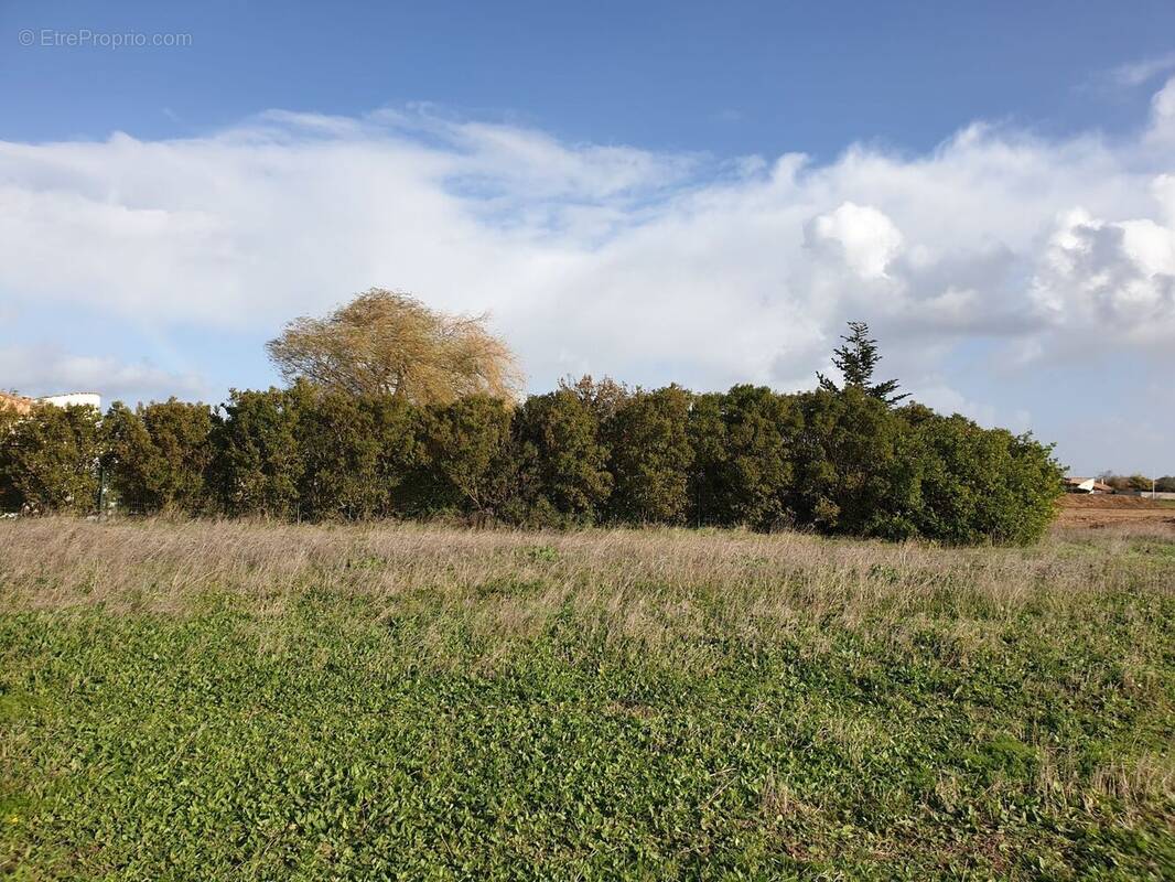 Terrain à L&#039;HOUMEAU