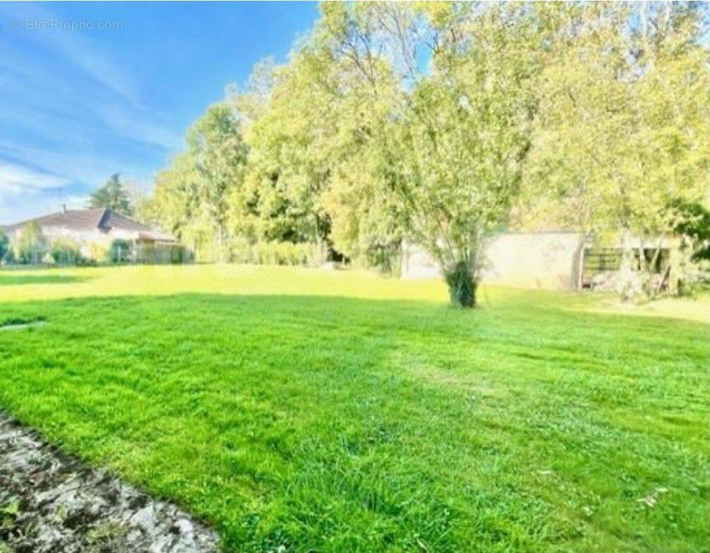 Terrain à CHAMPMOTTEUX