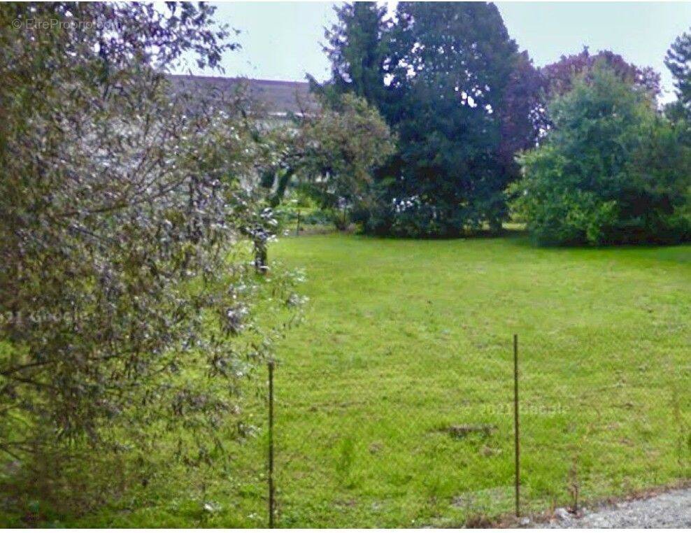 Terrain à CHAMPMOTTEUX