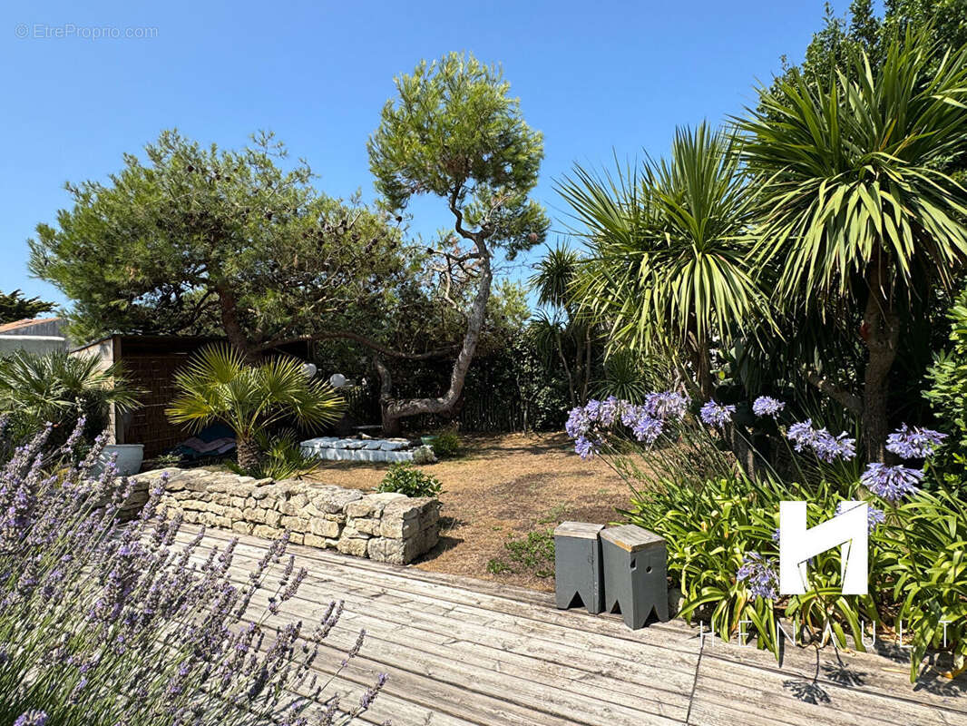 Maison à SAINTE-MARIE-DE-RE