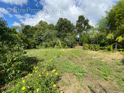 Terrain à MACHECOUL