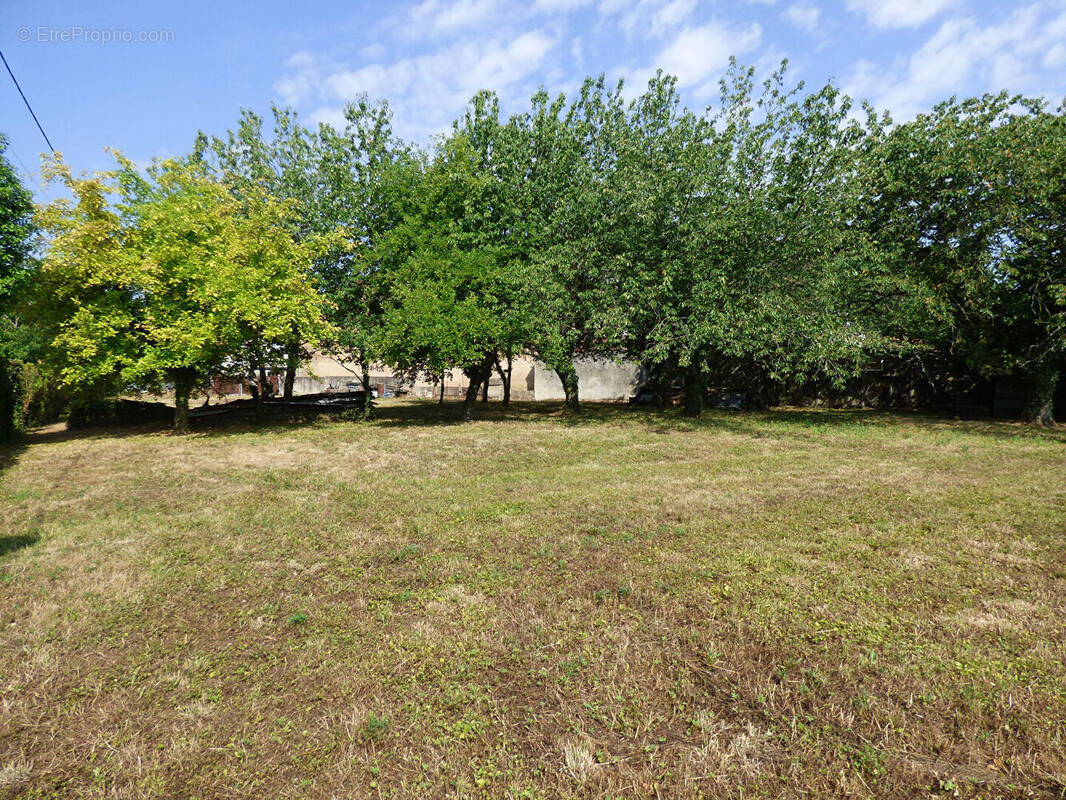 Terrain à SAINT-TRIVIER-DE-COURTES
