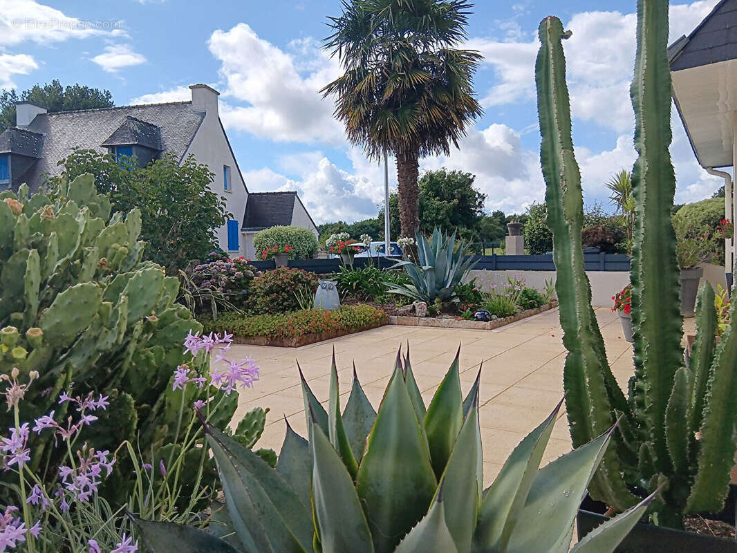 Maison à LOCMARIAQUER