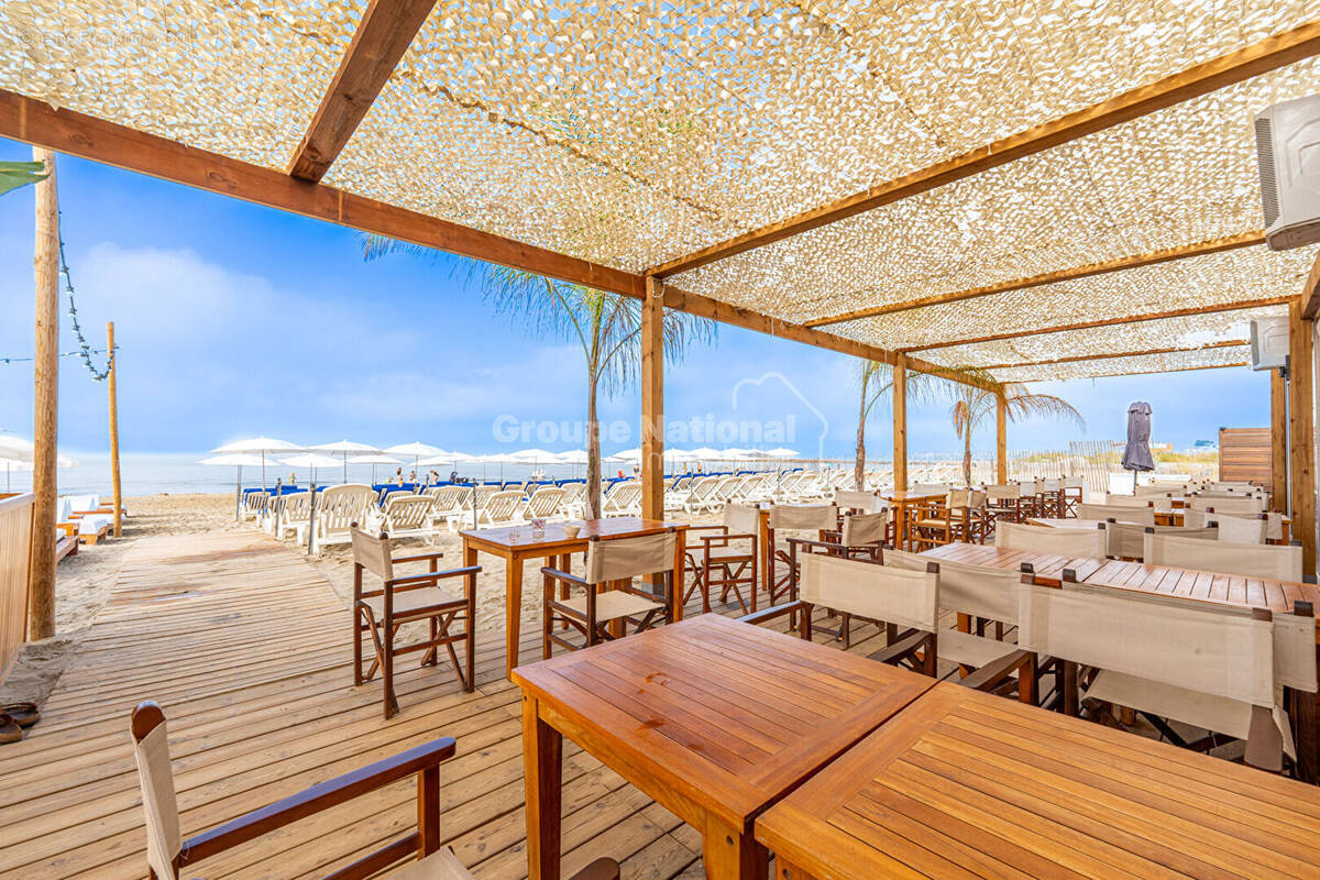 Commerce à LE GRAU-DU-ROI