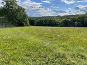 Terrain à LIZY-SUR-OURCQ