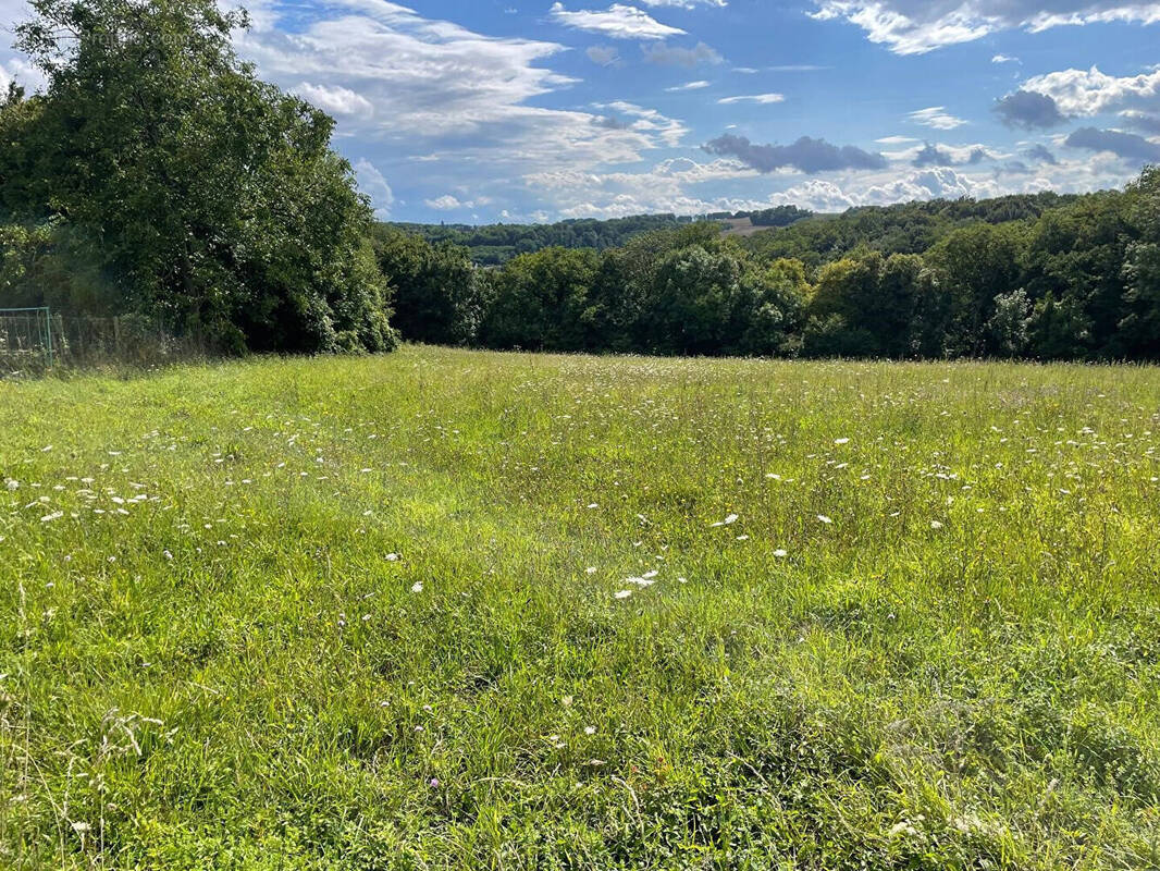 Terrain à SAACY-SUR-MARNE