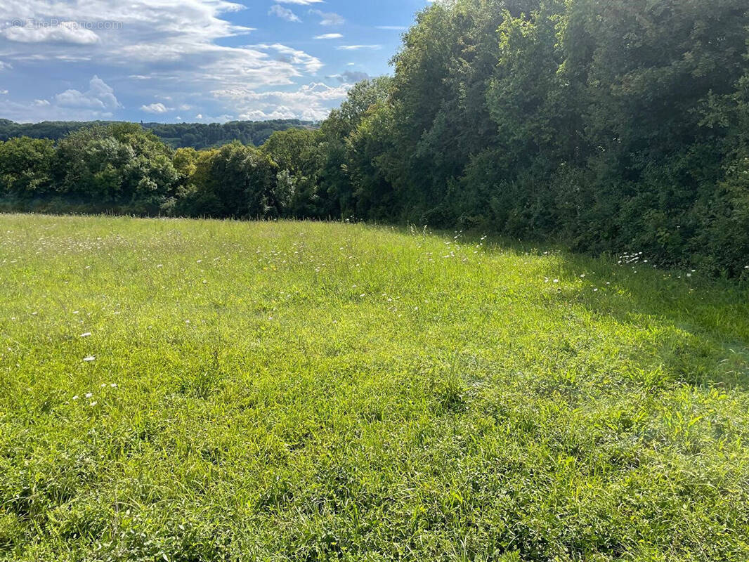 Terrain à MONTREUIL-AUX-LIONS