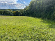 Terrain à MONTREUIL-AUX-LIONS