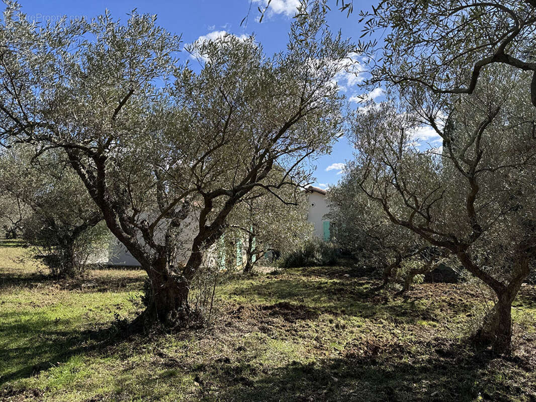 Maison à VILLENEUVE-LES-AVIGNON