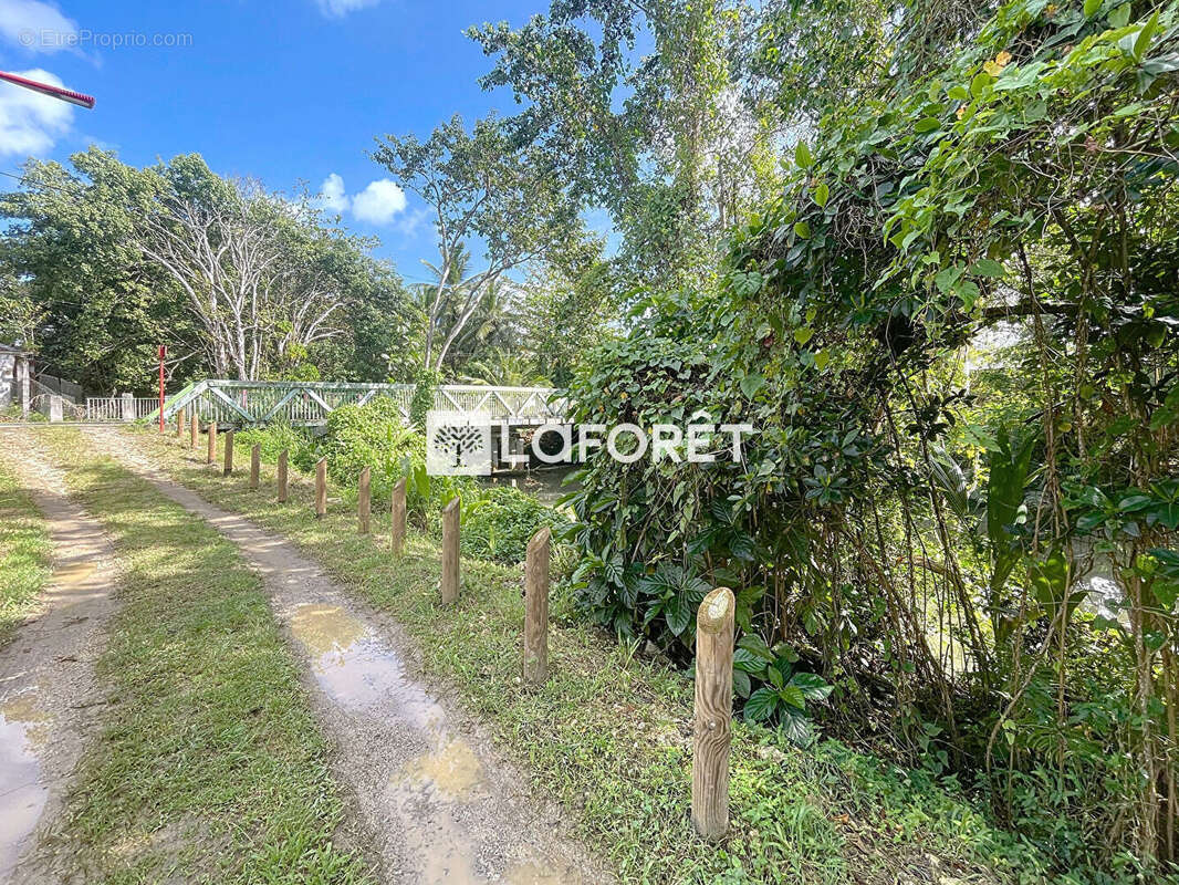 Maison à MORNE-A-L&#039;EAU