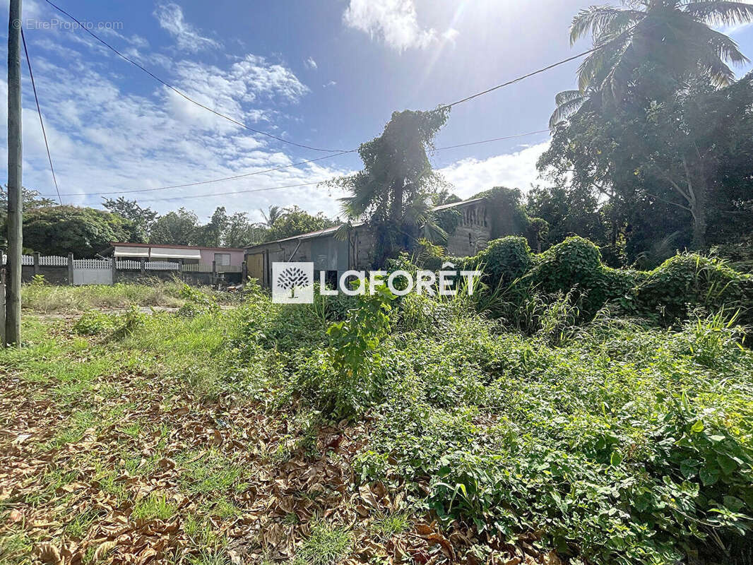 Maison à MORNE-A-L&#039;EAU