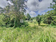 Terrain à CAPESTERRE-BELLE-EAU