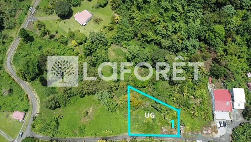 Terrain à CAPESTERRE-BELLE-EAU